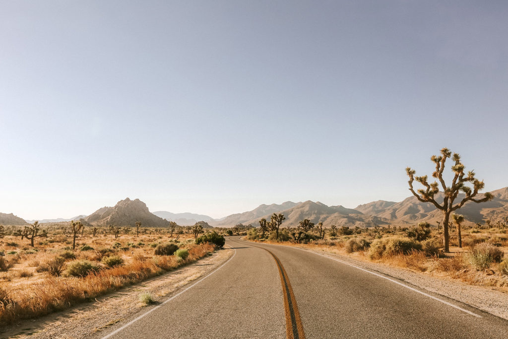 Reflecting on Two Years of Desert Living – The Joshua Tree House