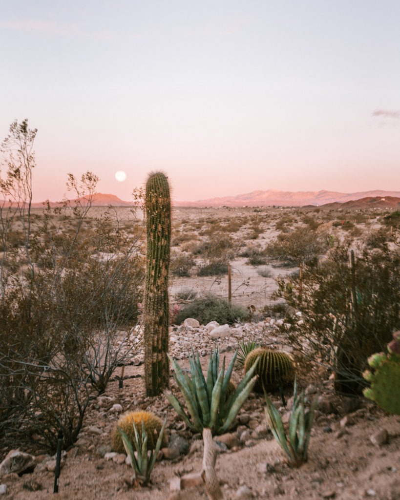 Swimming Pool Design with Fireclay Tile – The Joshua Tree House