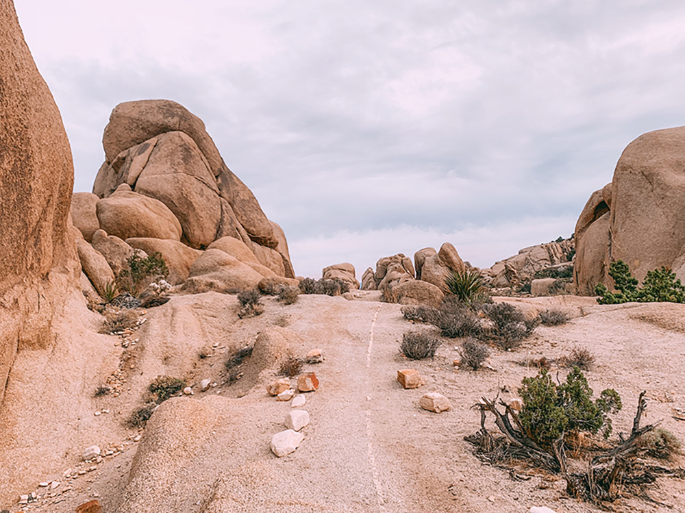 Split Rock Loop Trail in Joshua Tree National Park—Field Guide