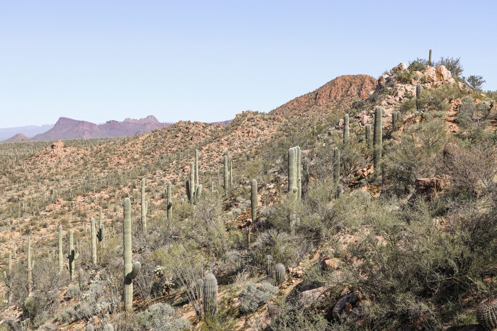 Valley View Overlook Trail